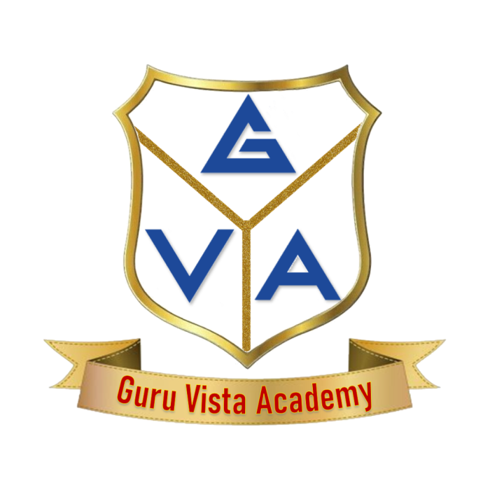 Guru Vista Academy
